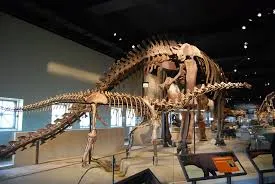রাপেটোসরাস-Rapetosaurus