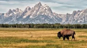 গ্র্যান্ড টেটন ন্যাশনাল পার্ক - Grand Teton National Park