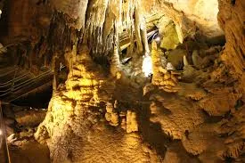 ম্যামথ কেইভ ন্যাশনাল পার্ক - Mammoth Cave National Park