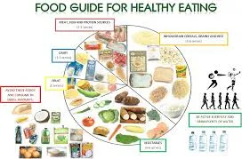 সঠিক খাদ্যাভ্যাস - Proper Eating Habits